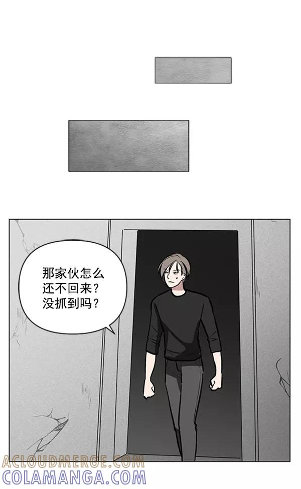 《小麻雀求婚记》第80话 第67页