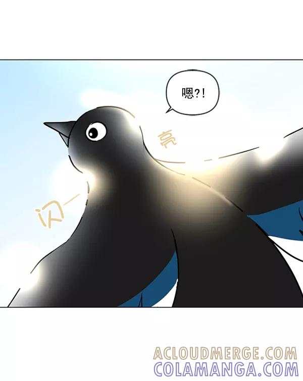 《小麻雀求婚记》第80话 第64页