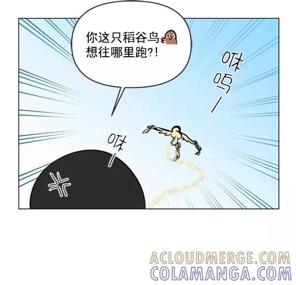 《小麻雀求婚记》第80话 第52页