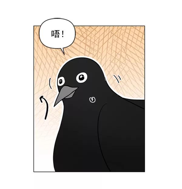 《小麻雀求婚记》第80话 第59页