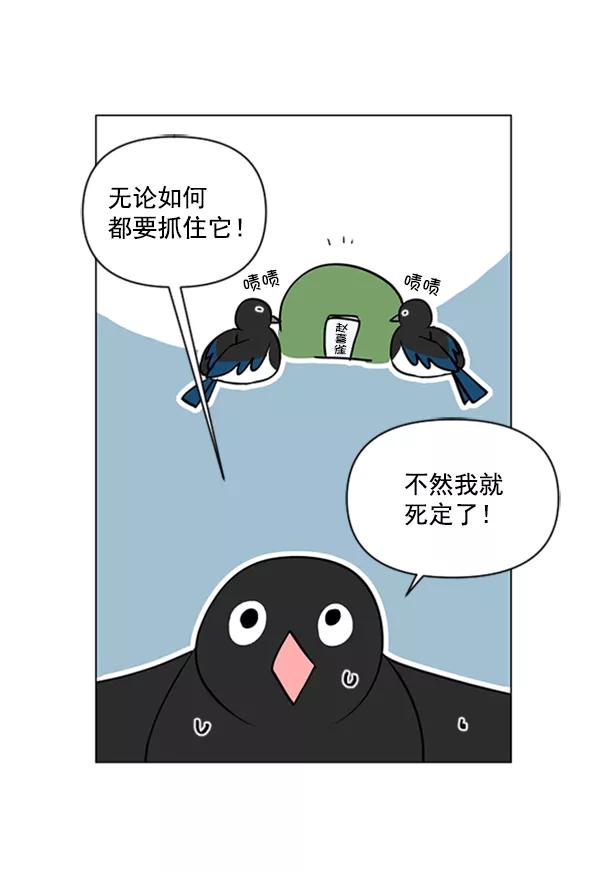 《小麻雀求婚记》第80话 第53页