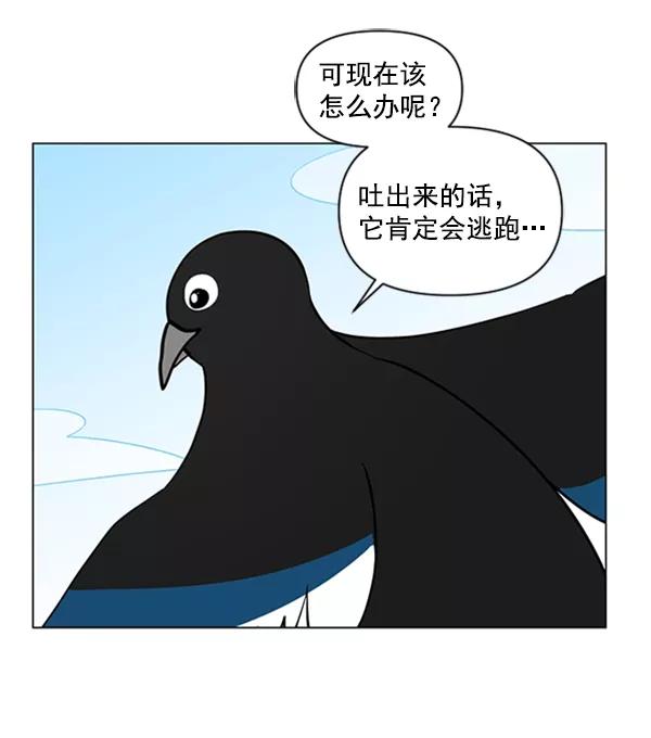 《小麻雀求婚记》第80话 第63页