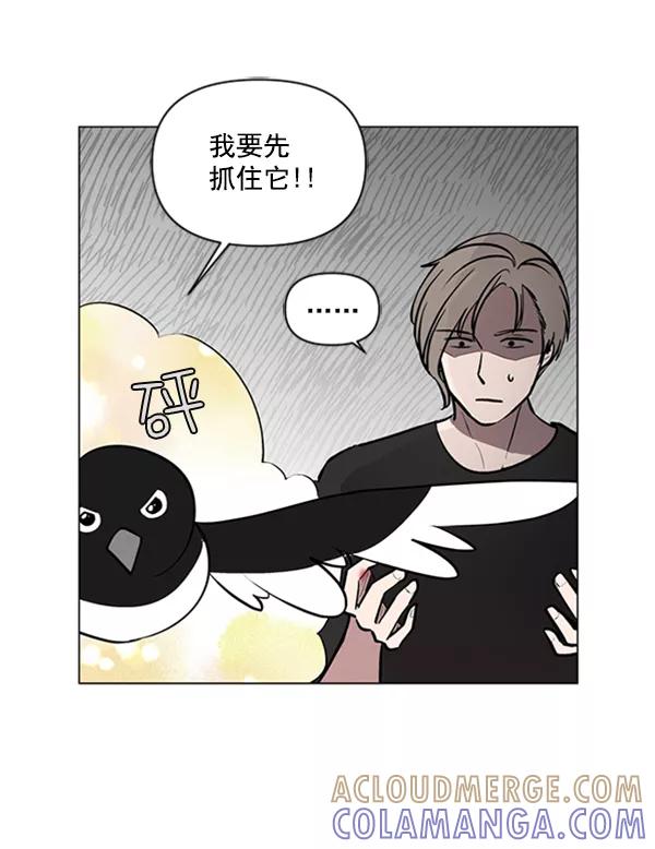 《小麻雀求婚记》第80话 第49页
