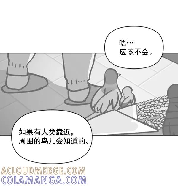 《小麻雀求婚记》第81话 第16页