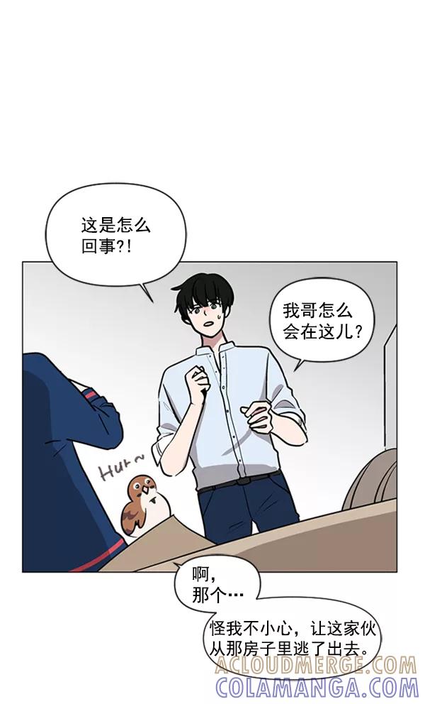 《小麻雀求婚记》第81话 第46页