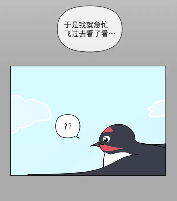 《小麻雀求婚记》第81话 第48页