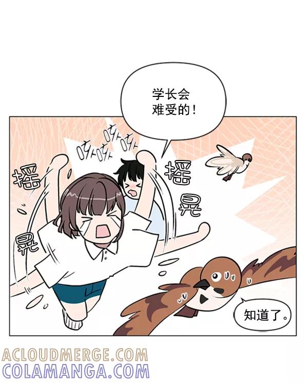《小麻雀求婚记》第82话 第37页
