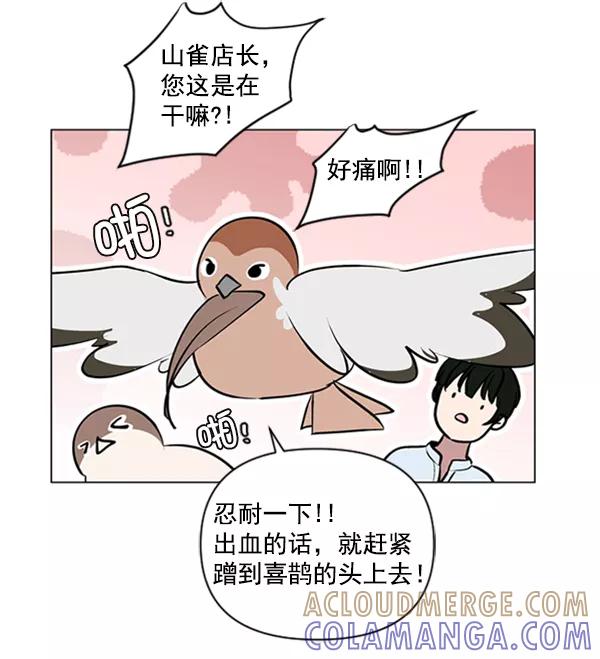 《小麻雀求婚记》第83话 第61页