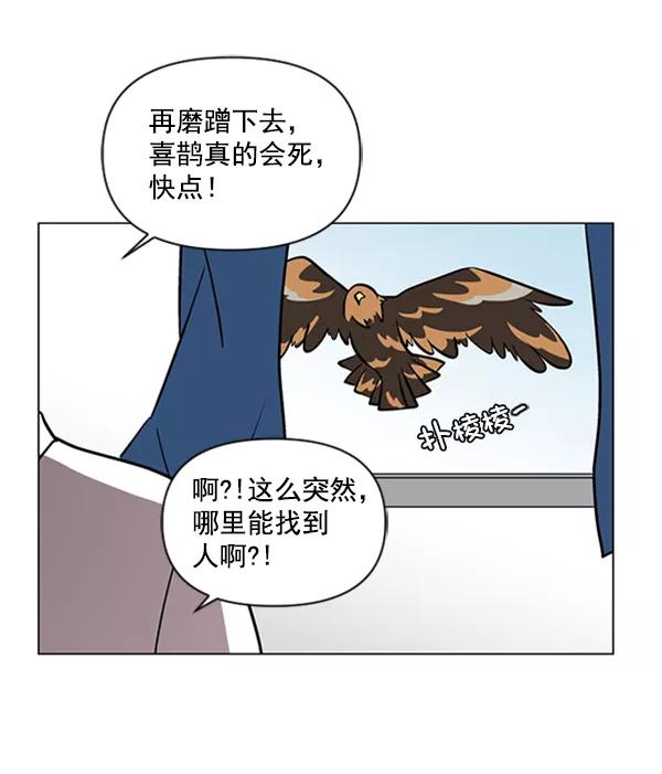 《小麻雀求婚记》第83话 第63页