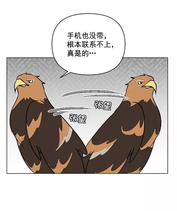《小麻雀求婚记》第83话 第11页