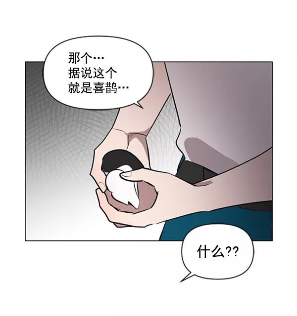 《小麻雀求婚记》第83话 第66页