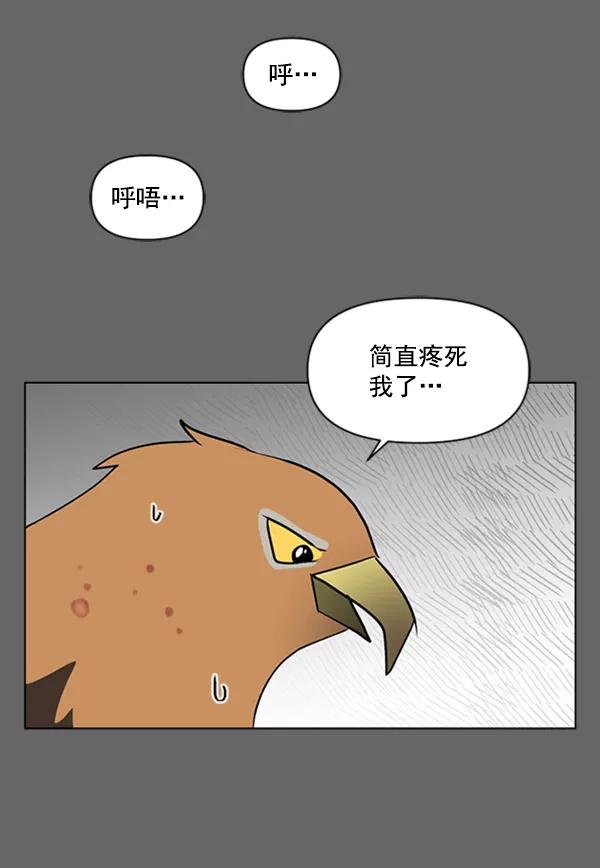 《小麻雀求婚记》第84话 第45页