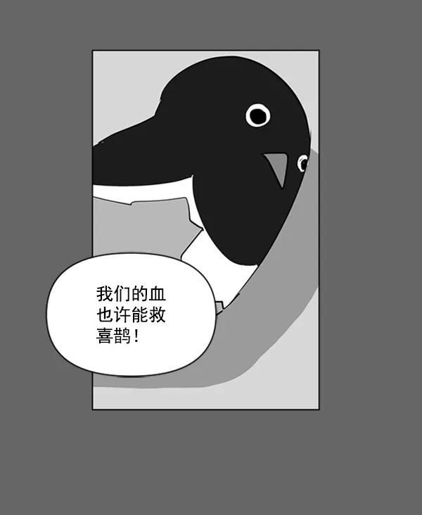 《小麻雀求婚记》第84话 第36页