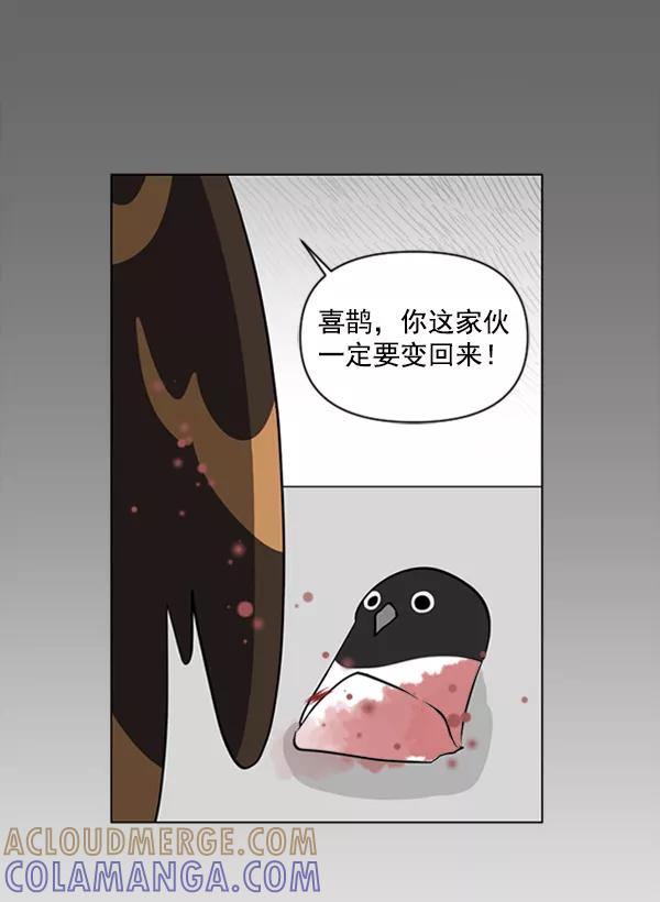 《小麻雀求婚记》第84话 第46页