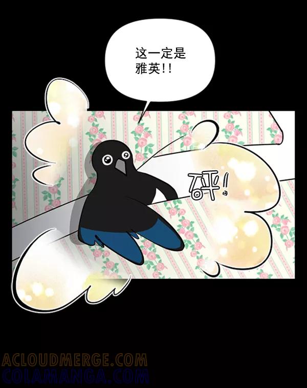 《小麻雀求婚记》第84话 第19页