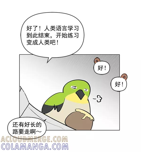 《小麻雀求婚记》第85话（最终话） 第46页