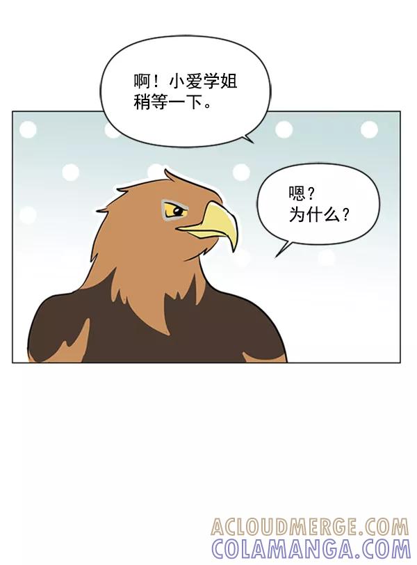 《小麻雀求婚记》第85话（最终话） 第52页