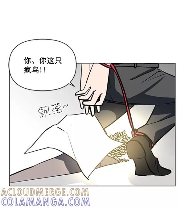 《小麻雀求婚记》第85话（最终话） 第7页