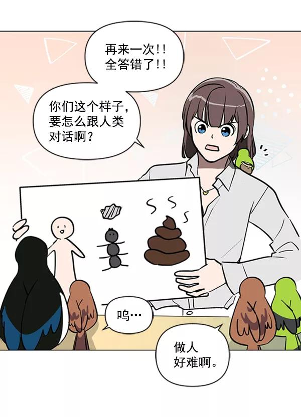 《小麻雀求婚记》第85话（最终话） 第41页