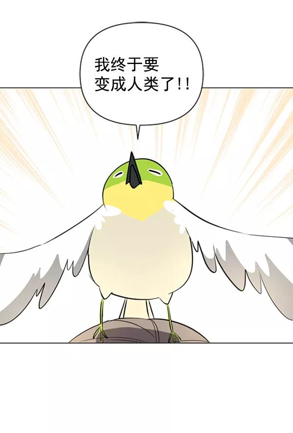 《小麻雀求婚记》第85话（最终话） 第9页