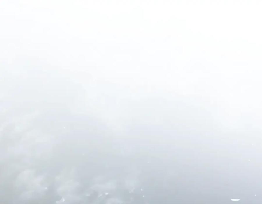 263.jpg