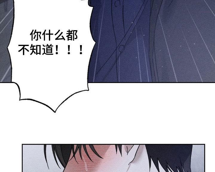 《特写爱意》第49章：感情用事 第12页