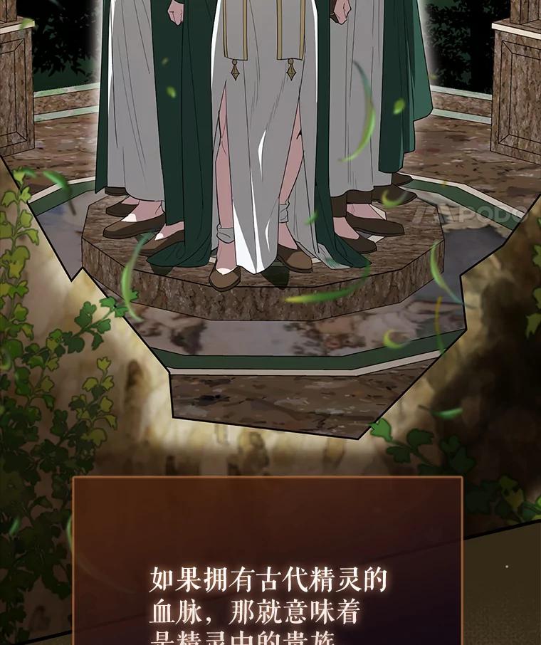 《配角太强了》54.古代精灵 第39页