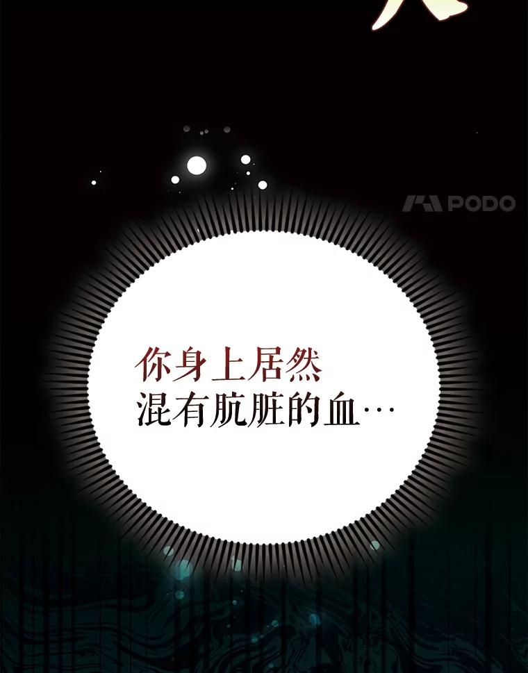 《配角太强了》54.古代精灵 第146页