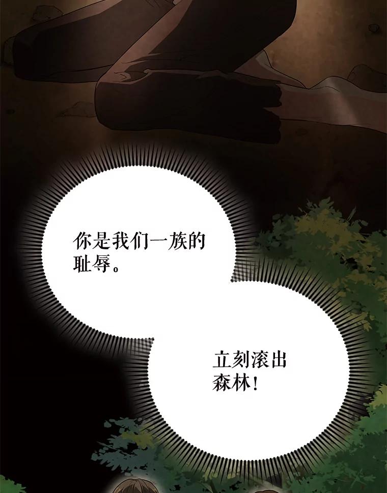 《配角太强了》54.古代精灵 第148页