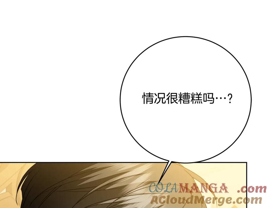《破茧皇后》第102话 抓捕侯爵 第5页