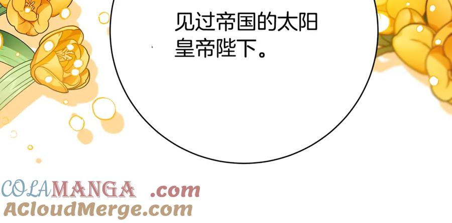《破茧皇后》第103话 选择权在你手里 第13页