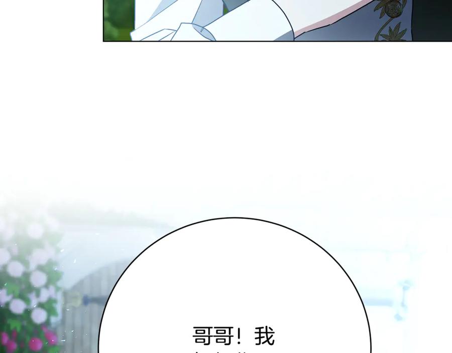 《破茧皇后》第114话 陛下要三思 第144页