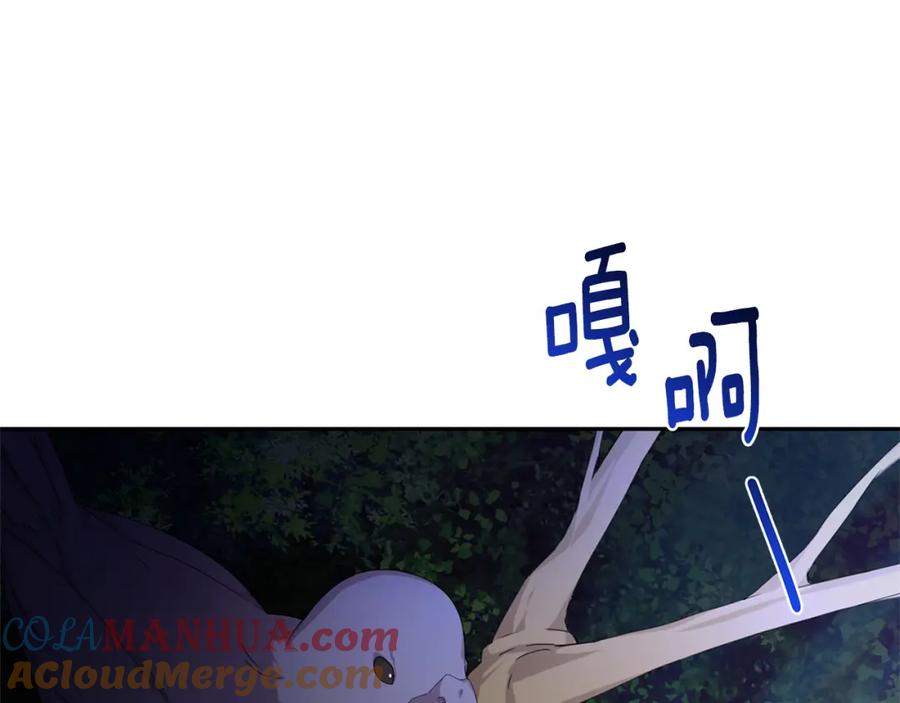 《破茧皇后》第1话 初次相遇 第5页