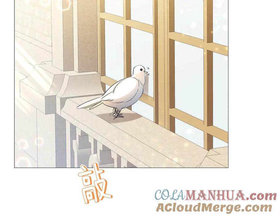 《破茧皇后》第28话 不能再动摇 第77页
