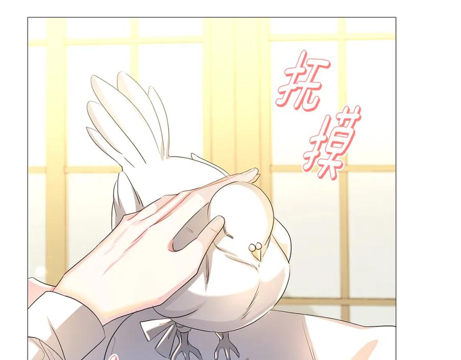 《破茧皇后》第28话 不能再动摇 第82页