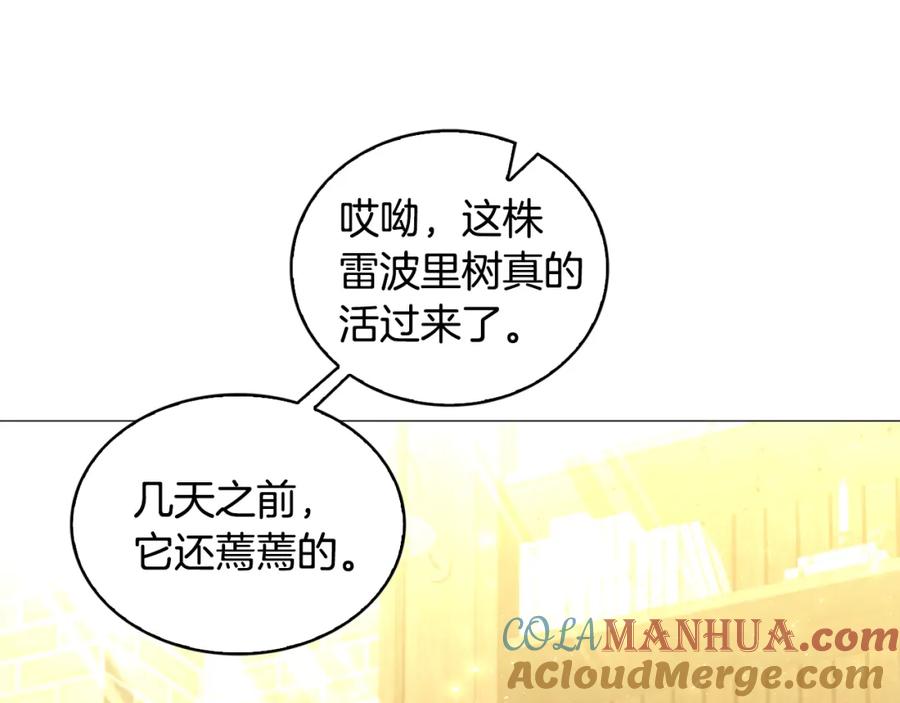 《破茧皇后》第34话 幸福的生活 第41页