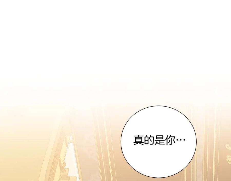 《破茧皇后》第43话 无法放弃 第15页