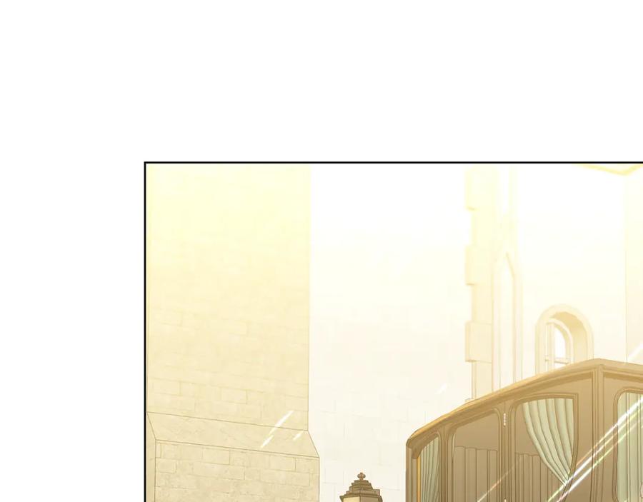 《破茧皇后》第54话 她回来了 第237页