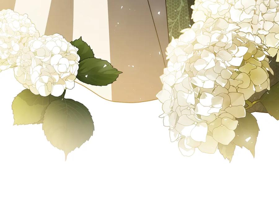 《破茧皇后》第57话 重入皇宫 第227页