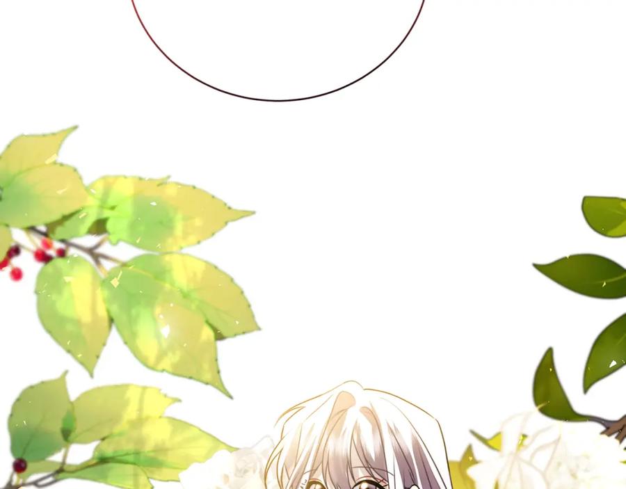 《破茧皇后》第57话 重入皇宫 第223页