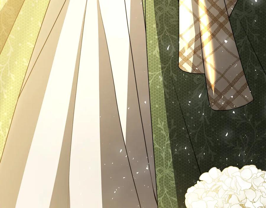《破茧皇后》第57话 重入皇宫 第226页