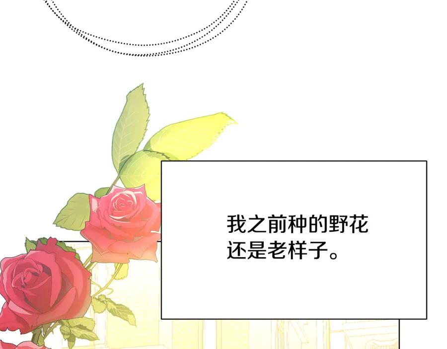 《破茧皇后》第二季完结篇 “故地重游” 第72页