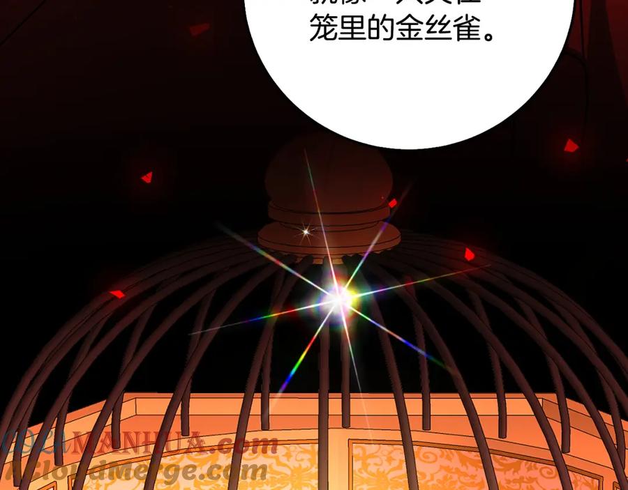 《破茧皇后》第二季完结篇 “故地重游” 第169页