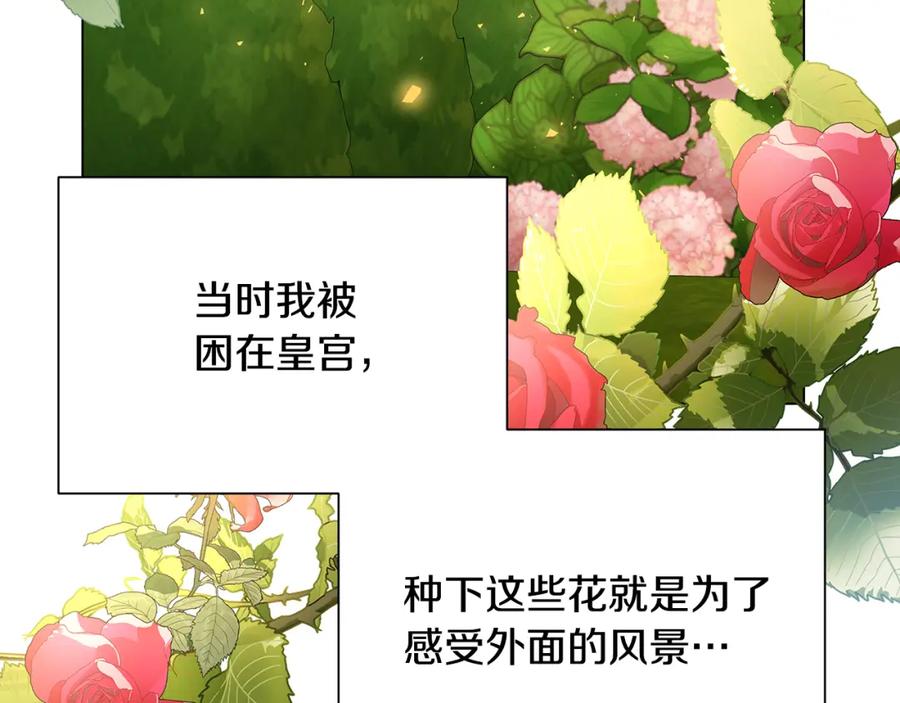 《破茧皇后》第二季完结篇 “故地重游” 第74页