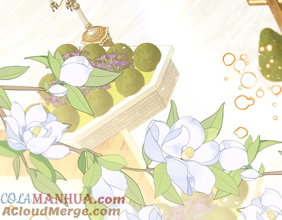《破茧皇后》第86话 转移视线 第133页