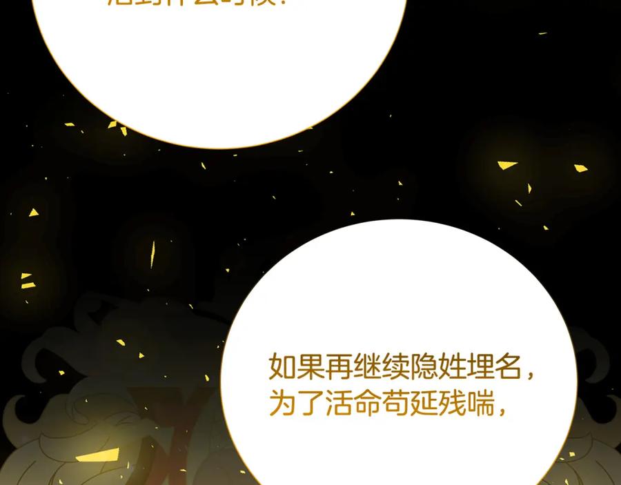 《破茧皇后》第88话 召回赛林侯爵 第204页