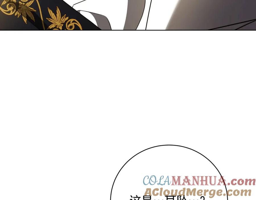 《破茧皇后》第94话 皇帝的血脉 第41页