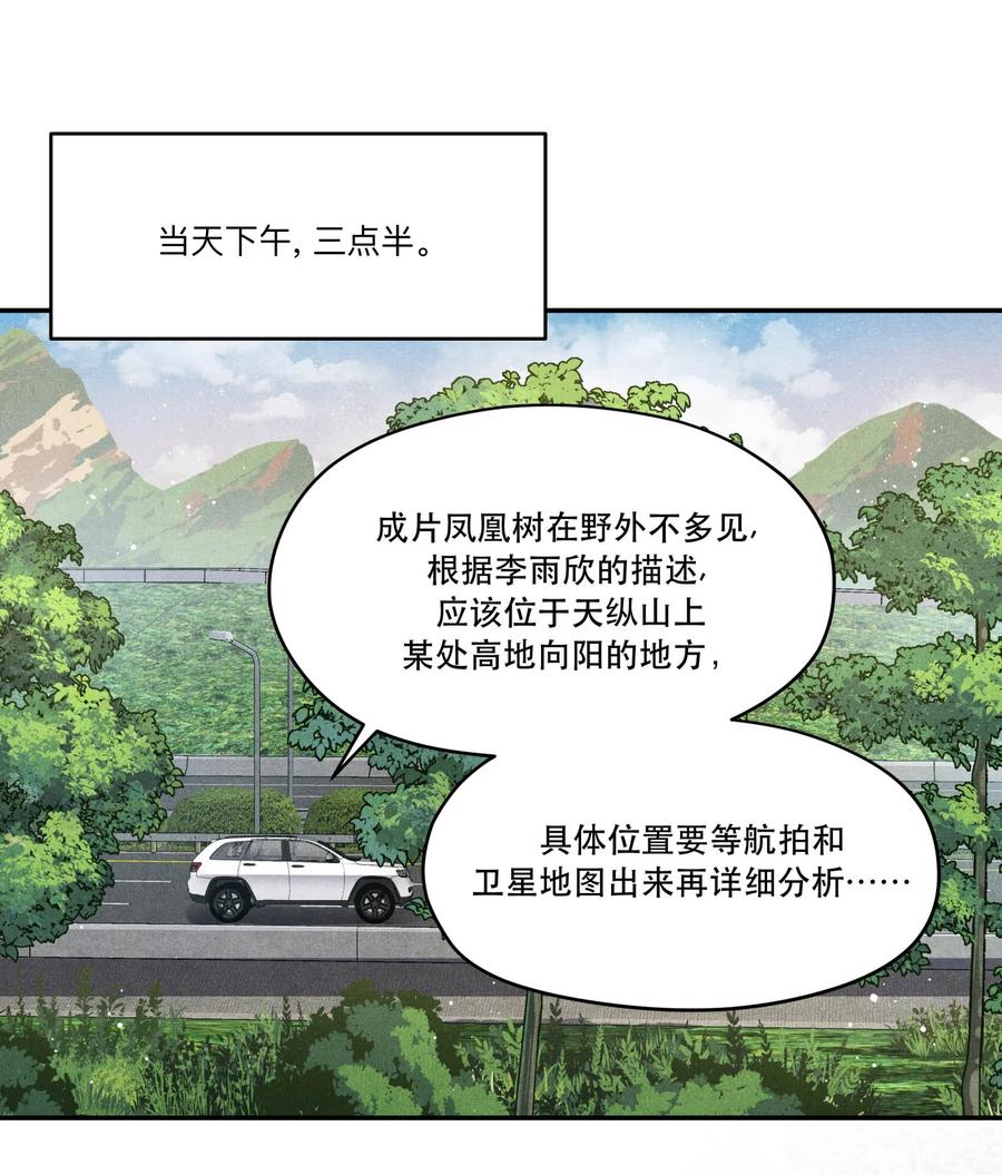《破云》89 天纵山 凤凰林 第22页