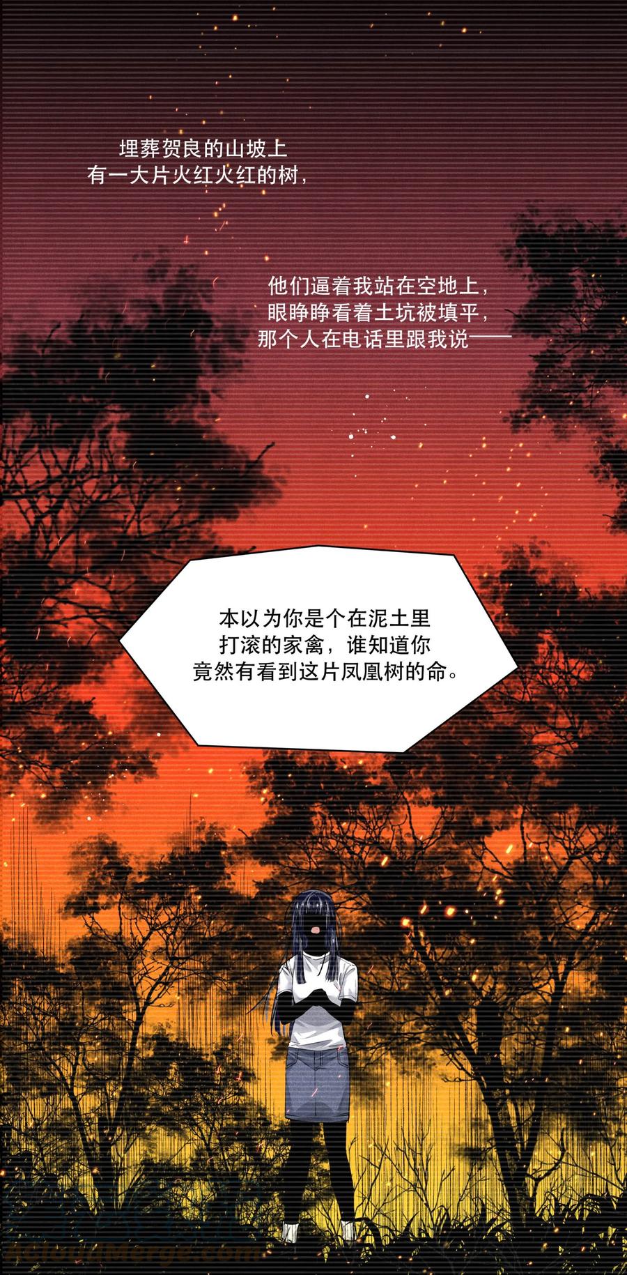 《破云》89 天纵山 凤凰林 第19页