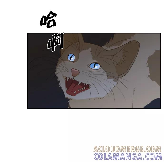 《我的专属男主角》第16话 第5页